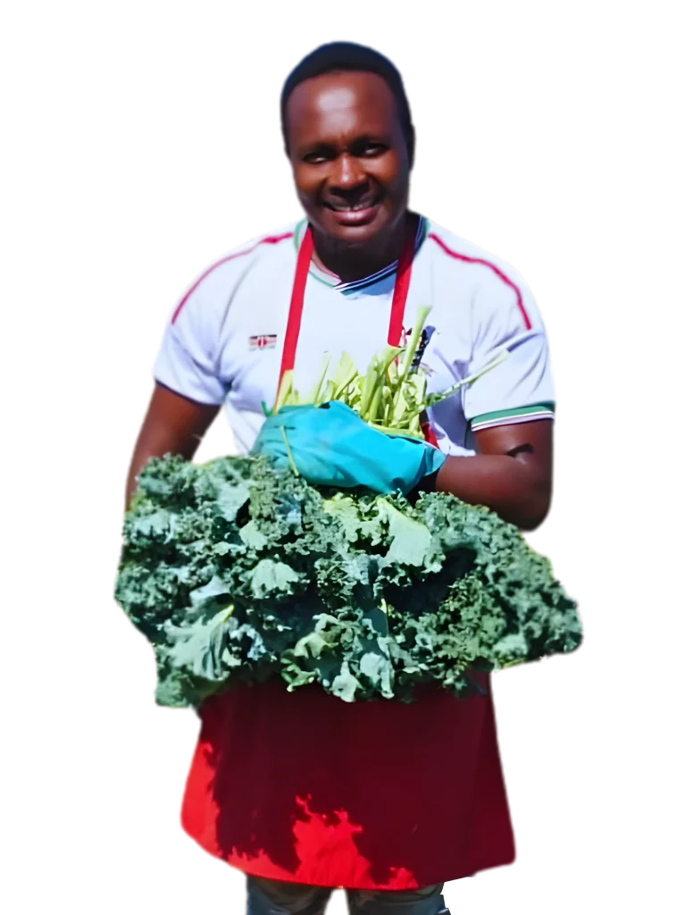A farmer at Nawiri Green Farm holding Kales