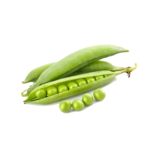 Green/Peas